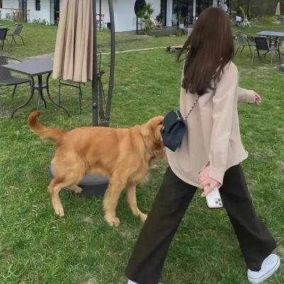 血脉相连