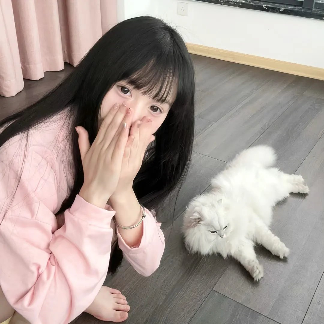 喜多郎的十五少女漂流记